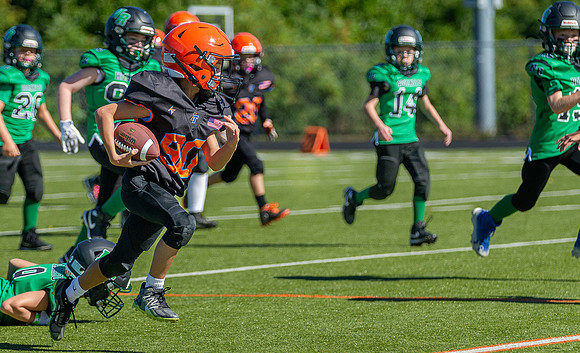 North Reading Youth Football & Cheerleaders vs Ipswich Tigers 2024_2024-09-08_10-10-32_IM1D9937_@TimCardew_2024