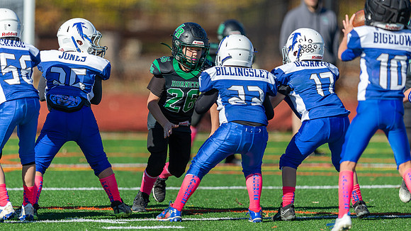 North Reading Youth Football & Cheerleaders vs Danvers Falcons 2024_2024-10-27_10-51-22_DT7T5606_@TimCardew_2024