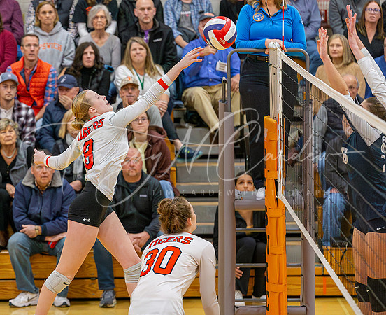 Ipswich vs Hamilton-Wenham Girls HS Volleyball D4 Rd of 8 Quarterfinals 2023_2023-11-10_05-19-28_AB5W2747_@TimCardew_2023-Enhanced-NR