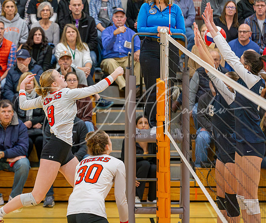 Ipswich vs Hamilton-Wenham Girls HS Volleyball D4 Rd of 8 Quarterfinals 2023_2023-11-10_05-19-28_AB5W2748_@TimCardew_2023-Enhanced-NR