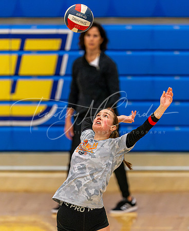 Ipswich vs Bellingham Girls HS Volleyball D4 Championship 2023_2023-11-18_11-57-44_DT7T6738_@TimCardew_2023-Enhanced-NR