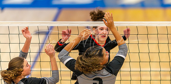 Ipswich vs Bellingham Girls HS Volleyball D4 Championship 2023_2023-11-18_01-29-31_DT7T7939_@TimCardew_2023-Enhanced-NR