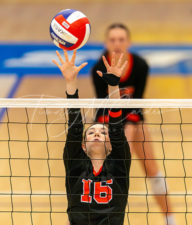 Ipswich vs Bellingham Girls HS Volleyball D4 Championship 2023_2023-11-18_12-12-57_DT7T6911_@TimCardew_2023-Enhanced-NR
