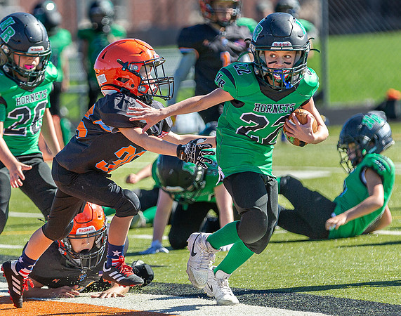 North Reading Youth Football & Cheerleaders vs Ipswich Tigers 2024_2024-09-08_09-52-24_IM1D9648_@TimCardew_2024