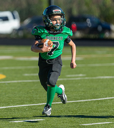 North Reading Youth Football & Cheerleaders vs Ipswich Tigers 2024_2024-09-08_09-22-38_IM1D9233_@TimCardew_2024