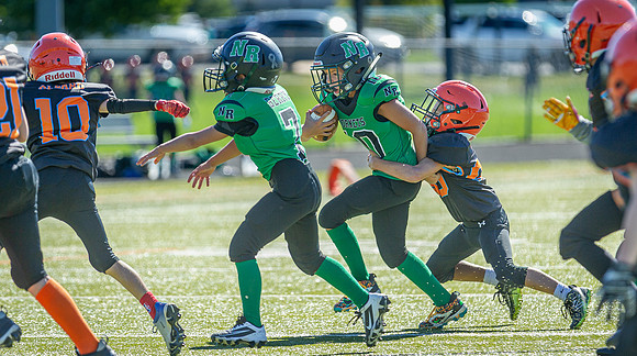 North Reading Youth Football & Cheerleaders vs Ipswich Tigers 2024_2024-09-08_10-04-04_IM1D9851_@TimCardew_2024