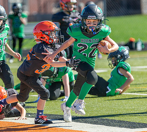 North Reading Youth Football & Cheerleaders vs Ipswich Tigers 2024_2024-09-08_09-52-24_IM1D9649_@TimCardew_2024