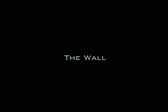 The Wall
