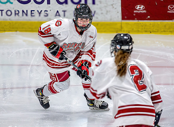 Concord vs Keene Girls D1 Hockey Game 2024_02-17_05-07-45_AB5W7327_@TimCardew_2024-Enhanced-NRs-Standard
