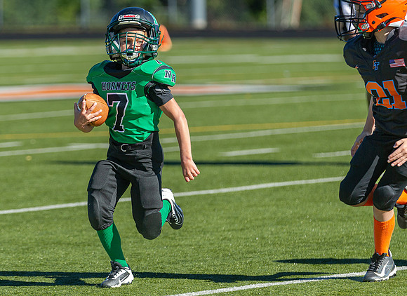 North Reading Youth Football & Cheerleaders vs Ipswich Tigers 2024_2024-09-08_09-22-39_IM1D9239_@TimCardew_2024