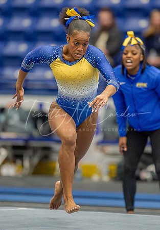 UNH Wildcats Gymnastics vs RIC, Fisk, SCSU 2024_02-25_03-41-47_DT7T8358_@TimCardew_2024-Enhanced-NR