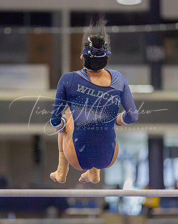 UNH Wildcats Gymnastics vs RIC, Fisk, SCSU 2024_02-25_03-49-42_AB5W8752_@TimCardew_2024-Enhanced-NR