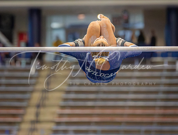 UNH Wildcats Gymnastics vs RIC, Fisk, SCSU 2024_02-25_03-54-59_AB5W8896_@TimCardew_2024-Enhanced-NR