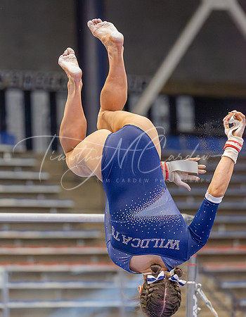 UNH Wildcats Gymnastics vs RIC, Fisk, SCSU 2024_02-25_03-56-57_AB5W8938_@TimCardew_2024-Enhanced-NR-2
