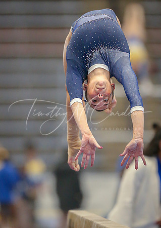 UNH Wildcats Gymnastics vs RIC, Fisk, SCSU 2024_02-25_04-20-31_DT7T8577_@TimCardew_2024