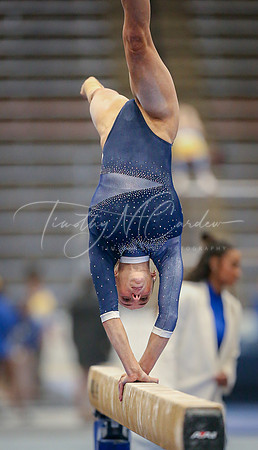 UNH Wildcats Gymnastics vs RIC, Fisk, SCSU 2024_02-25_04-20-31_DT7T8579_@TimCardew_2024