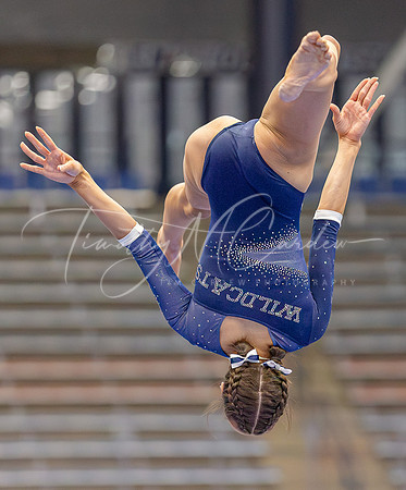 UNH Wildcats Gymnastics vs RIC, Fisk, SCSU 2024_02-25_04-24-53_AB5W9427_@TimCardew_2024-Enhanced-NR