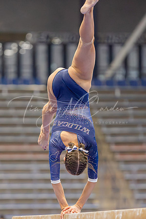 UNH Wildcats Gymnastics vs RIC, Fisk, SCSU 2024_02-25_04-24-55_AB5W9446_@TimCardew_2024-Enhanced-NR
