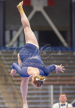 UNH Wildcats Gymnastics vs RIC, Fisk, SCSU 2024_02-25_04-27-42_AB5W9494_@TimCardew_2024-Enhanced-NR