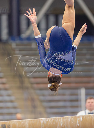 UNH Wildcats Gymnastics vs RIC, Fisk, SCSU 2024_02-25_04-30-24_AB5W9559_@TimCardew_2024-Enhanced-NR