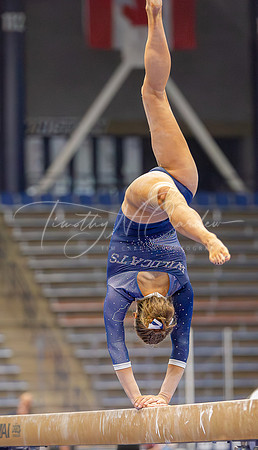 UNH Wildcats Gymnastics vs RIC, Fisk, SCSU 2024_02-25_04-33-13_AB5W9656_@TimCardew_2024-Enhanced-NR