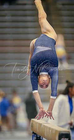 UNH Wildcats Gymnastics vs RIC, Fisk, SCSU 2024_02-25_04-20-31_DT7T8578_@TimCardew_2024