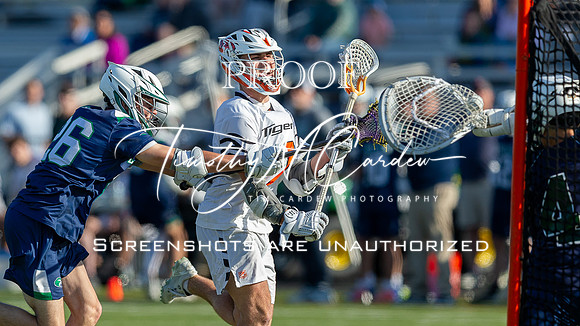 Ipswich BLax vs Essex Tech 2025_2025-05-13_05-28-19_DT7T3835_@TimCardew_2025