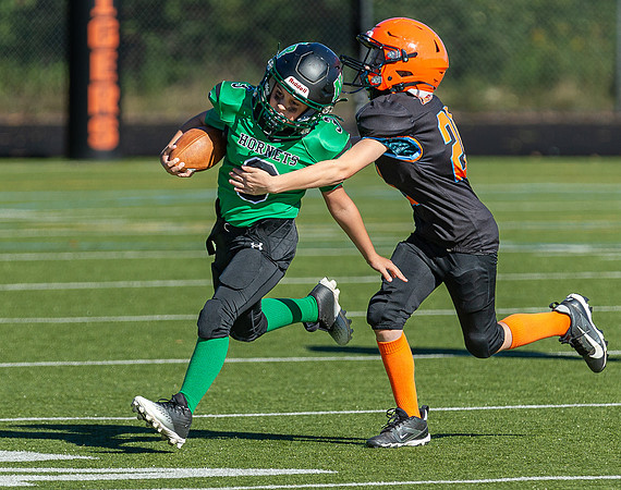 North Reading Youth Football & Cheerleaders vs Ipswich Tigers 2024_2024-09-08_09-17-36_IM1D9172_@TimCardew_2024