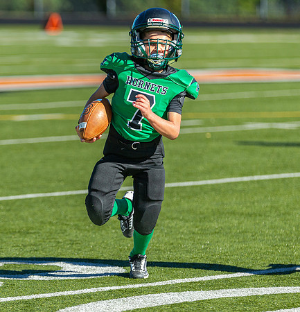North Reading Youth Football & Cheerleaders vs Ipswich Tigers 2024_2024-09-08_09-22-39_IM1D9242_@TimCardew_2024