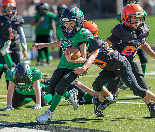 North Reading Youth Football & Cheerleaders vs Ipswich Tigers 2024_2024-09-08_09-52-23_IM1D9647_@TimCardew_2024