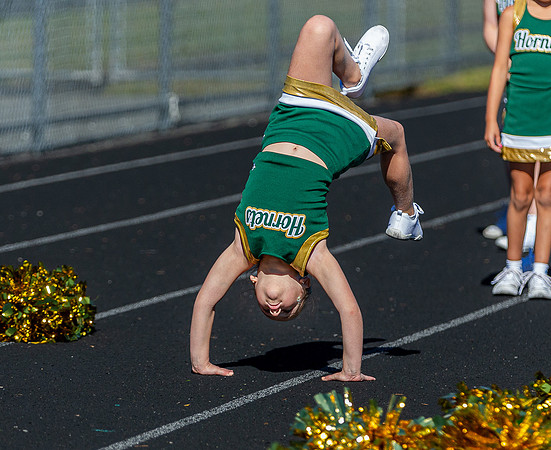 North Reading Youth Football & Cheerleaders vs Ipswich Tigers 2024_2024-09-08_09-30-59_IM1D9428_@TimCardew_2024