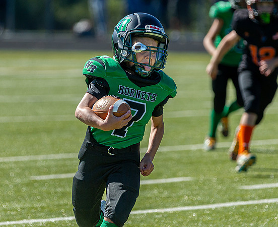 North Reading Youth Football & Cheerleaders vs Ipswich Tigers 2024_2024-09-08_10-00-28_IM1D9800_@TimCardew_2024