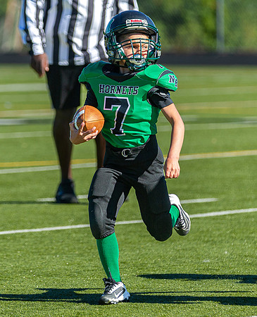 North Reading Youth Football & Cheerleaders vs Ipswich Tigers 2024_2024-09-08_09-22-39_IM1D9235_@TimCardew_2024