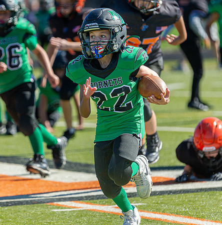 North Reading Youth Football & Cheerleaders vs Ipswich Tigers 2024_2024-09-08_09-52-26_IM1D9656_@TimCardew_2024