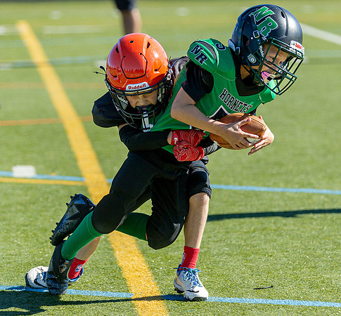 North Reading Youth Football & Cheerleaders vs Ipswich Tigers 2024_2024-09-08_09-33-34_IM1D9515_@TimCardew_2024