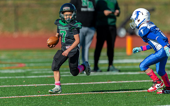 North Reading Youth Football & Cheerleaders vs Danvers Falcons 2024_2024-10-27_10-55-36_DT7T5662_@TimCardew_2024