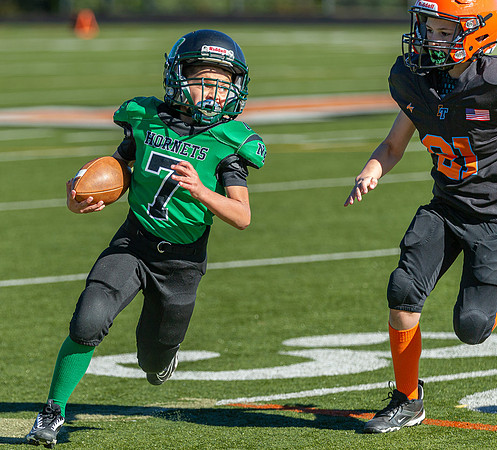 North Reading Youth Football & Cheerleaders vs Ipswich Tigers 2024_2024-09-08_09-22-40_IM1D9248_@TimCardew_2024