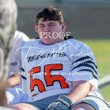 Ipswich BLax vs Essex Tech 2025_2025-05-13_05-19-13_DT7T3746_@TimCardew_2025