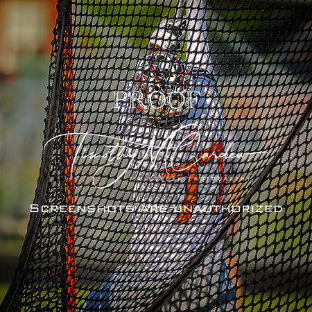 Ipswich BLax vs Essex Tech 2025_2025-05-13_05-46-24_DT7T4302_@TimCardew_2025
