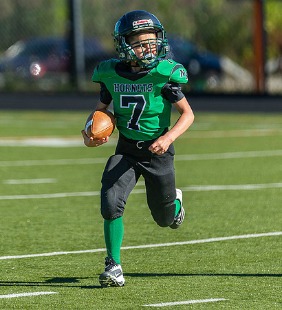 North Reading Youth Football & Cheerleaders vs Ipswich Tigers 2024_2024-09-08_09-22-38_IM1D9231_@TimCardew_2024