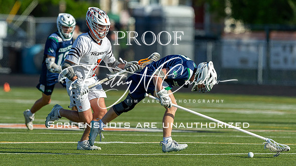 Ipswich BLax vs Essex Tech 2025_2025-05-13_05-28-16_DT7T3824_@TimCardew_2025