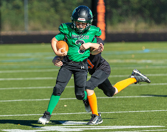 North Reading Youth Football & Cheerleaders vs Ipswich Tigers 2024_2024-09-08_09-17-36_IM1D9175_@TimCardew_2024