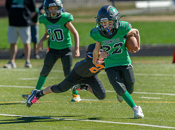 North Reading Youth Football & Cheerleaders vs Ipswich Tigers 2024_2024-09-08_09-52-21_IM1D9645_@TimCardew_2024
