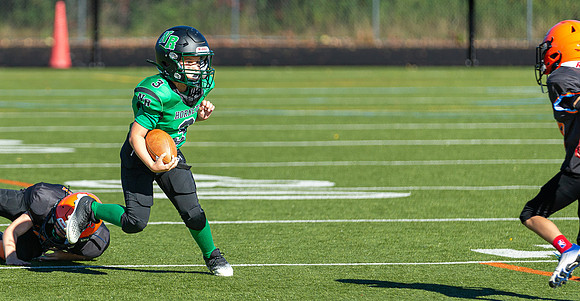 North Reading Youth Football & Cheerleaders vs Ipswich Tigers 2024_2024-09-08_09-17-37_IM1D9182_@TimCardew_2024