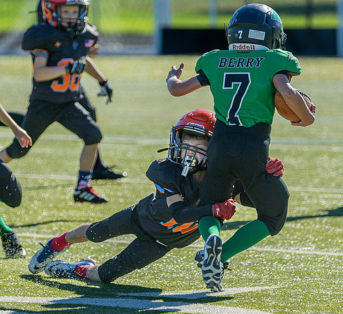 North Reading Youth Football & Cheerleaders vs Ipswich Tigers 2024_2024-09-08_09-06-58_IM1D9095_@TimCardew_2024