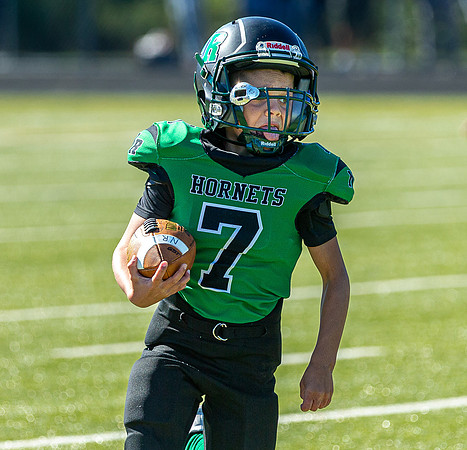 North Reading Youth Football & Cheerleaders vs Ipswich Tigers 2024_2024-09-08_10-00-28_IM1D9803_@TimCardew_2024