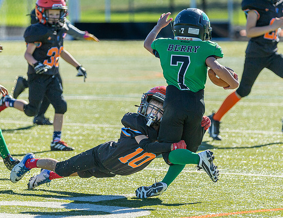 North Reading Youth Football & Cheerleaders vs Ipswich Tigers 2024_2024-09-08_09-06-58_IM1D9096_@TimCardew_2024