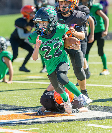 North Reading Youth Football & Cheerleaders vs Ipswich Tigers 2024_2024-09-08_09-52-25_IM1D9650_@TimCardew_2024