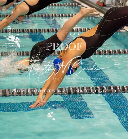NEC Swim Meet_2025-01-25_05-19-38_IM1D3174_@TimCardew_2025-Enhanced-NR