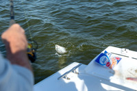 Outer Banks Fishing Charters 2022_2022-07-05_09-10-02_IM1D9130_@TimCardew_2022